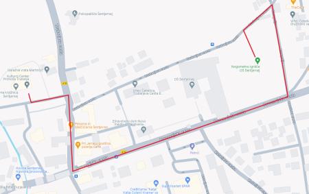 Slovenska bakla v Šentjerneju